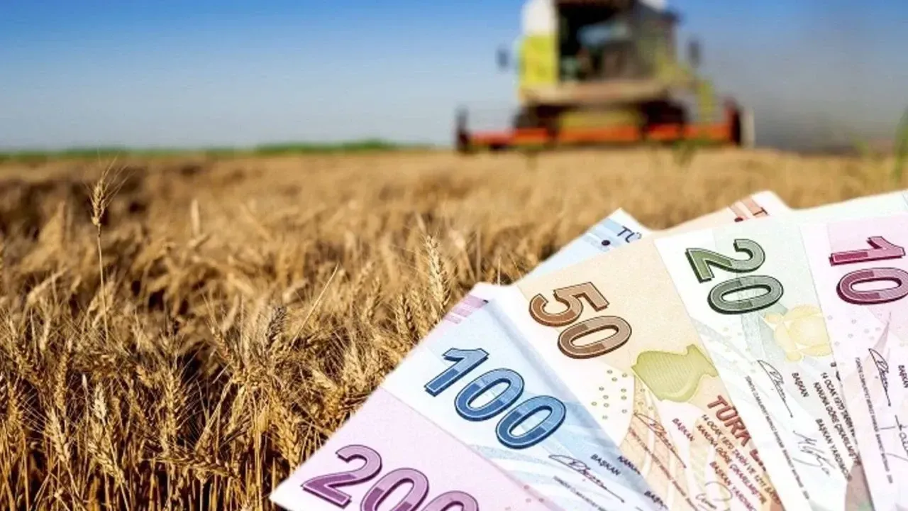 Çiftçi Finansal Danışmanlığı